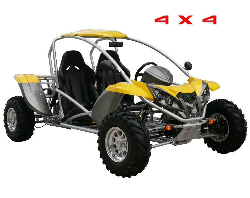 renli 500cc buggy